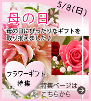 母の日特集