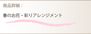 アレンジメント商品詳細