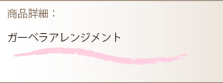 アレンジメント商品詳細