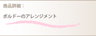 アレンジメント商品詳細